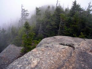 Foggy day outlook on Whiteface.