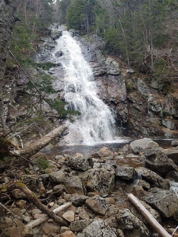 Guided Hike of 100 Highest Peaks: Mt Nancy