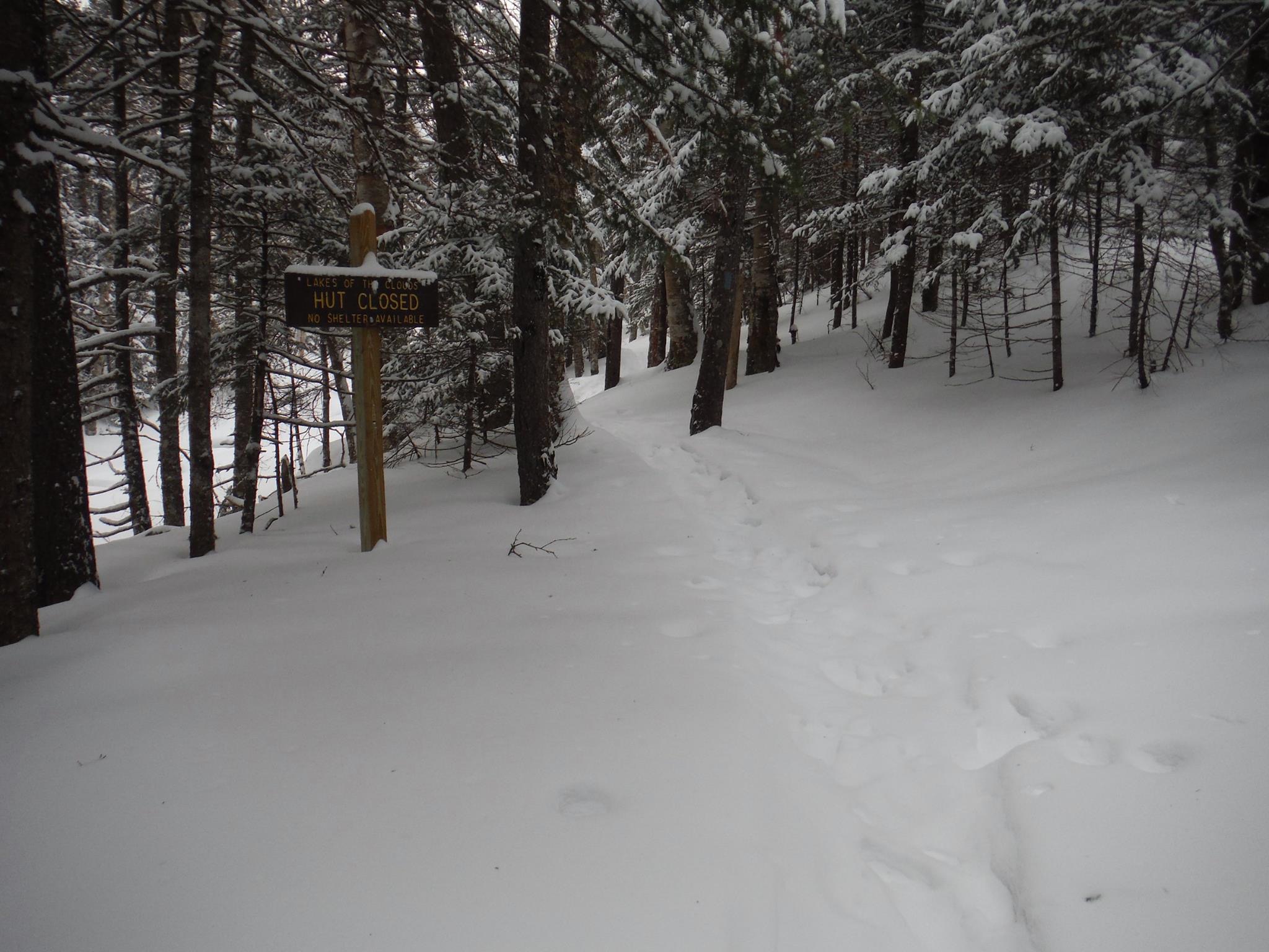 Mt Monroe in Extreme Conditions Redline Guiding