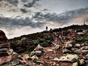The remote Mt Guyot