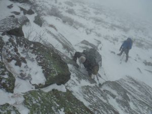 Approaching Lion Head