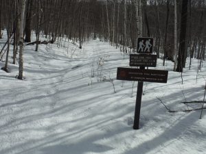 Hike or ski