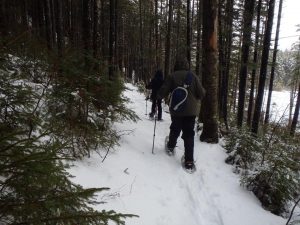 Snowhoeing in the forest